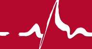 Praxis VS Logo